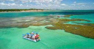Ponta de Campina Beach Refuge - Cabedelo - 8
