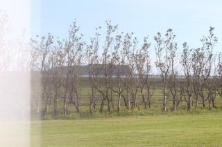 Skammidalur Guesthouse - 1