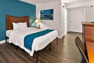 PaddleTail Waterfront Lodge, Trademark Collection by Wyndham - Crystal River - 4