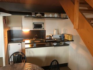 Appartement spacieux en montagne avec loggia, au cœur de la station, proche piste et lac - FR-1-814-62 - Besse-et-Saint-Anastaise - 5