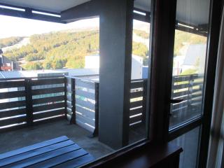 Appartement 2 pièces au cœur de la station - FR-1-814-65 - Besse-et-Saint-Anastaise - 7