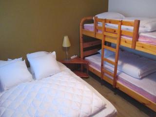 Appartement 2 pièces au cœur de la station - FR-1-814-65 - Besse-et-Saint-Anastaise - 6