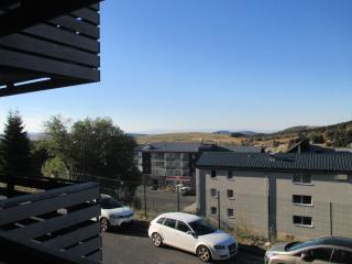 Appartement 2 pièces au cœur de la station - FR-1-814-65 - Besse-et-Saint-Anastaise - 3