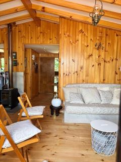 Casa familiar entre Lican Ray y Conaripe con acceso directo al lago Calafquen - Coñaripe - 7