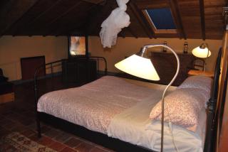 Tenuta Rivalazzo - Noceto - 5