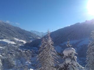 Haus Lärchenheim - 6