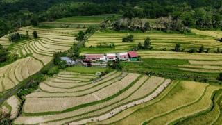 Santya Loka Lodge & Twin Waterfall - Jatiluwih - 2