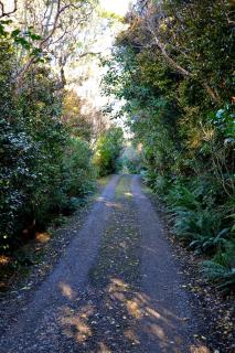 Barn Bed and Breakfast - Waitati - 9