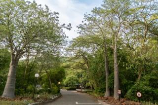 First Group Sanbonani Resort - 4