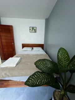 Amazon house - Tingo María - 1