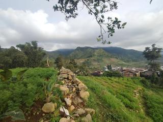Dieng Ananda Mountain View Syariah RedPartner - Kejajar - 2