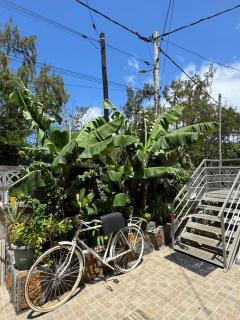 JN sunflower residence - Le Morne - 8