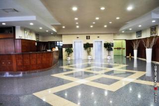 Edra Palace Hotel & Ristorante - Cassino - 7