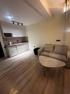X2 apartment Bakuriani - Bakuriani - 5