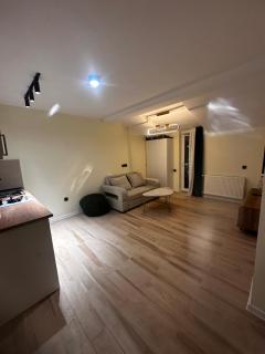 X2 apartment Bakuriani - Bakuriani - 1