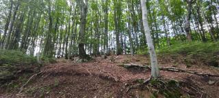 Horský penzion Komárka - Teplice - 2
