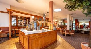 PLAZA INN Chemnitz - Chemnitz - 7