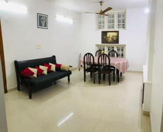 meridian home stay - Cochin - 3