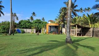 Coconut Tree hill Rekawa - Tangalle - 1