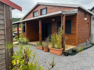 Les Cattleyas - Saint-Joseph - 8