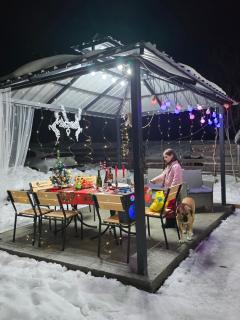 4 Chalet near Borjomi - 1