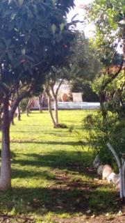 Avocado B&B Beyond - Giardini-Naxos - 2