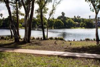 118 Bayley Street - 6