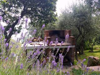 Tenuta di Venere - 4