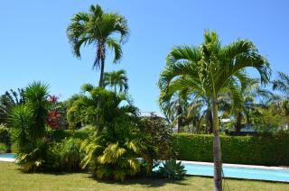 La Villa Mirabelle - Saint-Benoît - 8