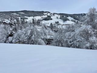 Appartement Chalet Saalbach - Saalbach-Hinterglemm - 5