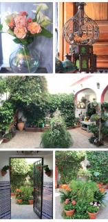 Casa de los Sentidos - Córdoba - 5