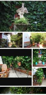 Casa de los Sentidos - Córdoba - 4