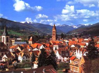 STUDIO ST GREGOIRE Au Pied des Vosges et Vignoble ! - Munster - 9