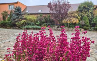 2 Bedroom Amazing Apartment In Obryta - 1