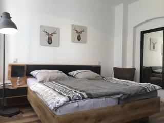 Mikra Homes24 in Crimmitschau - Crimmitschau - 0