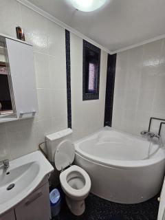 Elegant Private Villa with 3 Bedrooms, Office, and shared courtyard, Perfect for 8 Guests - Piteşti - 1