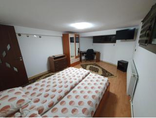 Cozy Apartment with 3 rooms - Piteşti - 3