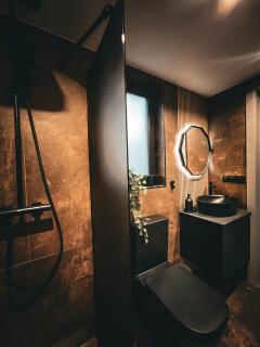 Villa Lakstīgalas Lux - Skrīveri - 1