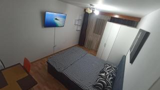 Nicole Magic Apartment- Timișoara - Timişoara - 0