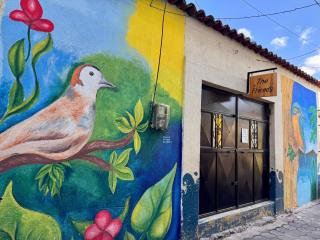 Hostal The Friends - 9