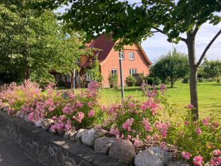 Hof Appelbue - Urlaub in zwei Ferienwohnungen im Storchendorf Bergenhusen - Bergenhusen - 4