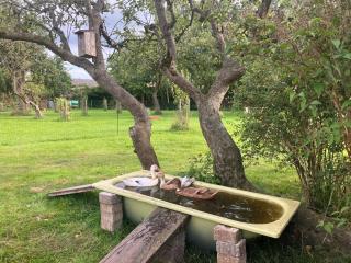Hof Appelbue - Urlaub in zwei Ferienwohnungen im Storchendorf Bergenhusen - Bergenhusen - 5