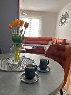 Happiness Apartman - Vrnjci - 6