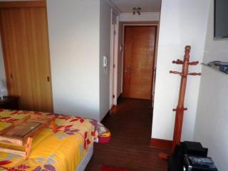 Apartamento Single full Equipado all the place - Santiago - 2