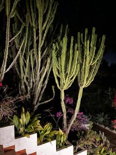 Apartment in Jesús - 0