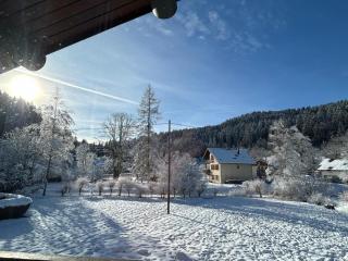 Appartement meublé T2 le G de Gérardmer - 1