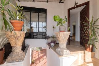 Tejado de Antigua Fábrica Industrial en Acacias - 5