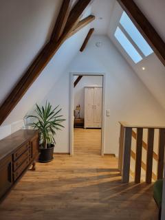 Ferienwohnung Maja - Waldkirch - 1