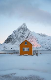 The Famous Yellow House - Reine - 0