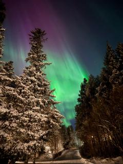 Hemsedal Mountain Retreat - 8